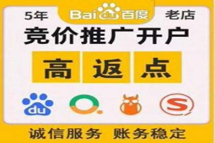 竞价广告的投放技巧与网络推广的实践